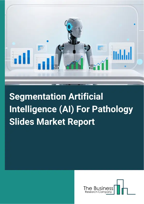 Segmentation Artificial Intelligence (AI) For Pathology Slides Market Report 2026 Segmentation Artificial Intelligence (AI) For Pathology Slides Market Report 2026