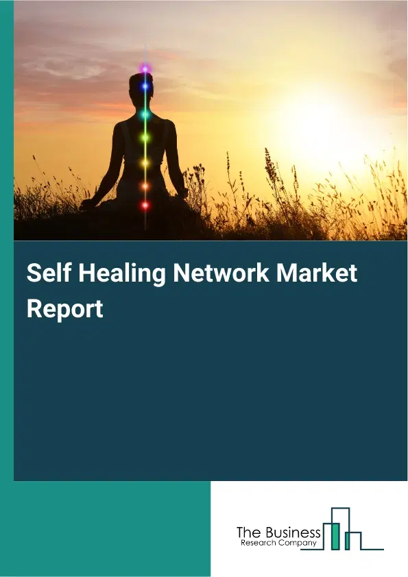 Global Self Healing Network Market Report 2026 Global Self Healing Network Market Report 2026