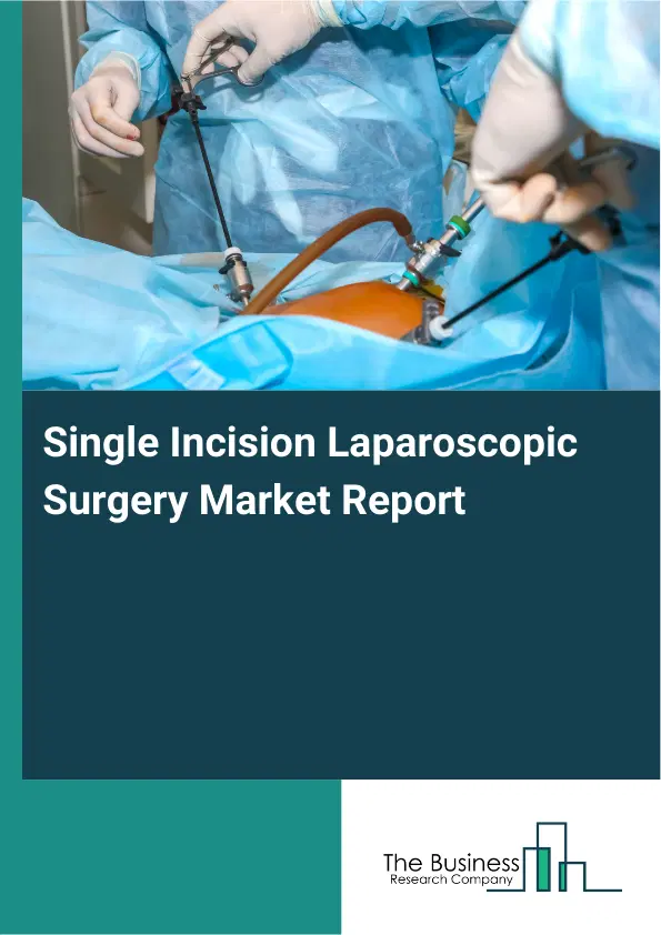 Single Incision Laparoscopic Surgery Market Report 2026 Single Incision Laparoscopic Surgery Market Report 2026