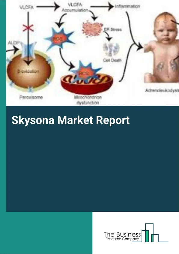 Skysona Market Report 2026 Skysona Market Report 2026