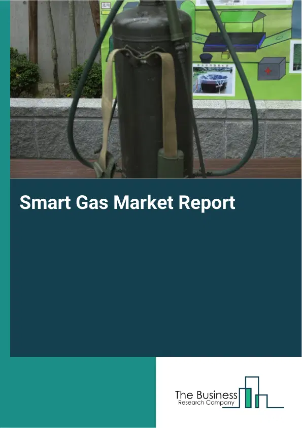 Smart Gas Market Report 2026 Smart Gas Market Report 2026