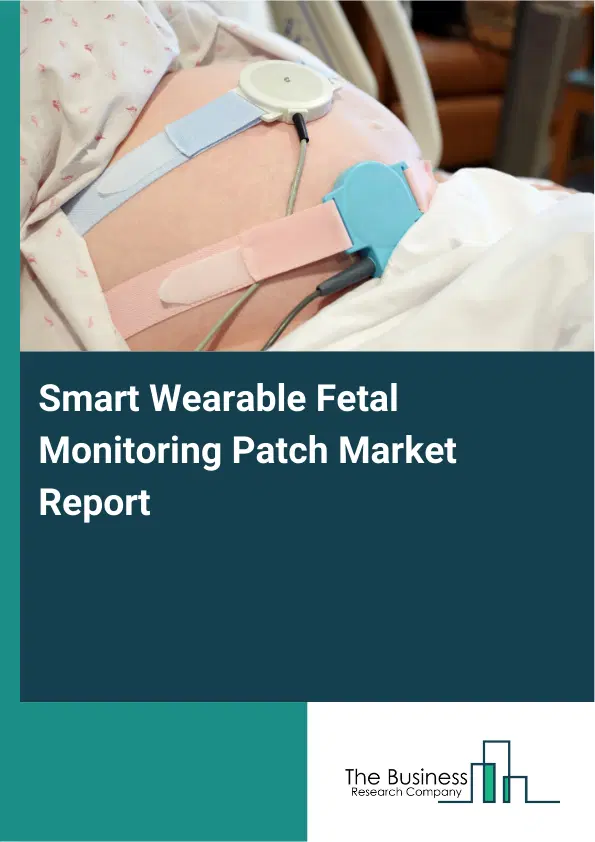 Smart Wearable Fetal Monitoring Patch Market Report 2026 Smart Wearable Fetal Monitoring Patch Market Report 2026