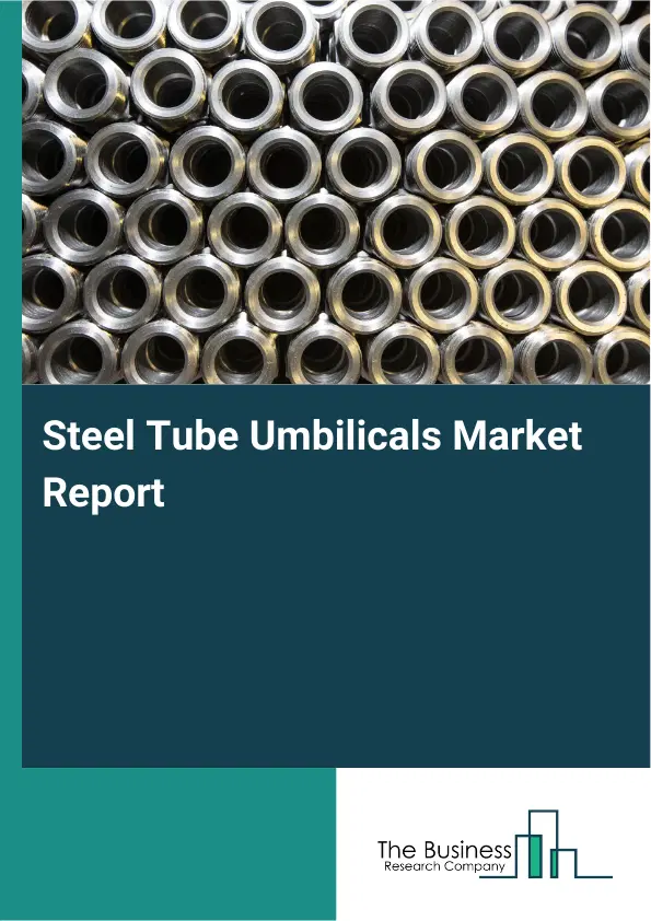 Steel Tube Umbilicals Market Report 2026 Steel Tube Umbilicals Market Report 2026