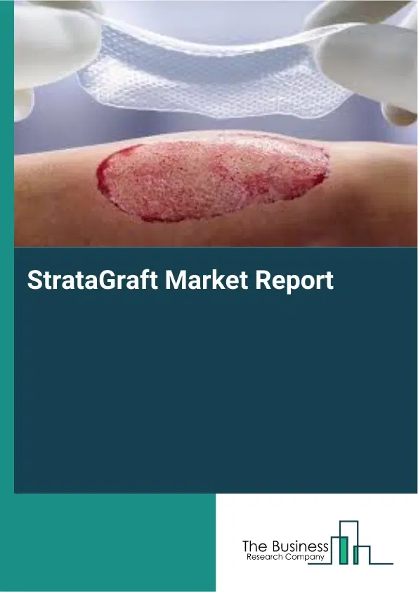 StrataGraft Market Report 2026 StrataGraft Market Report 2026