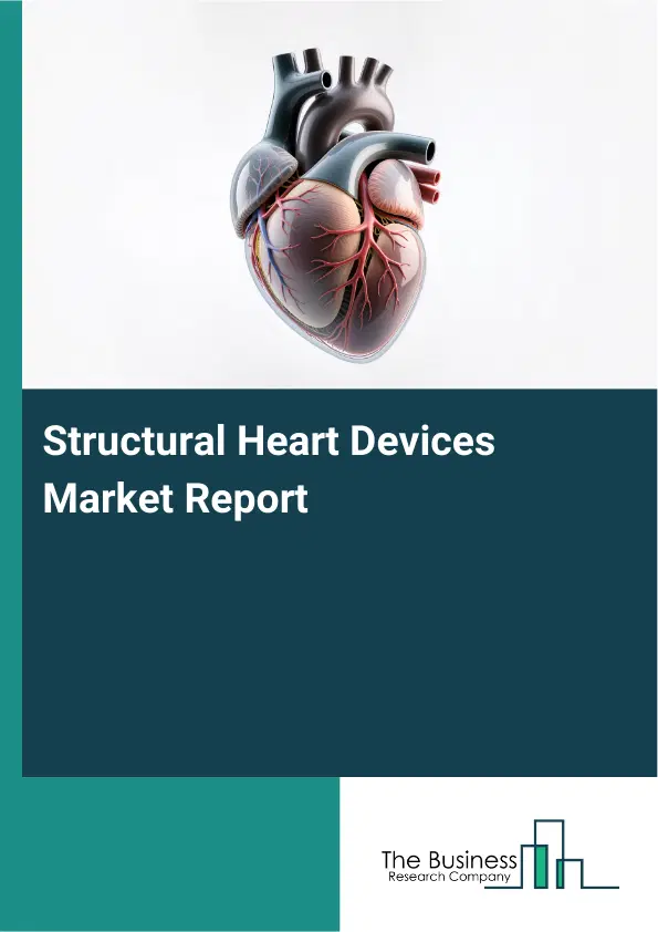Structural Heart Devices Market Report 2026 Structural Heart Devices Market Report 2026