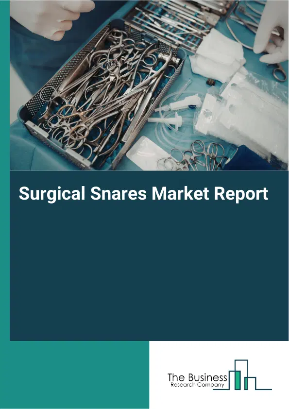 Surgical Snares Market Report 2026 Surgical Snares Market Report 2026