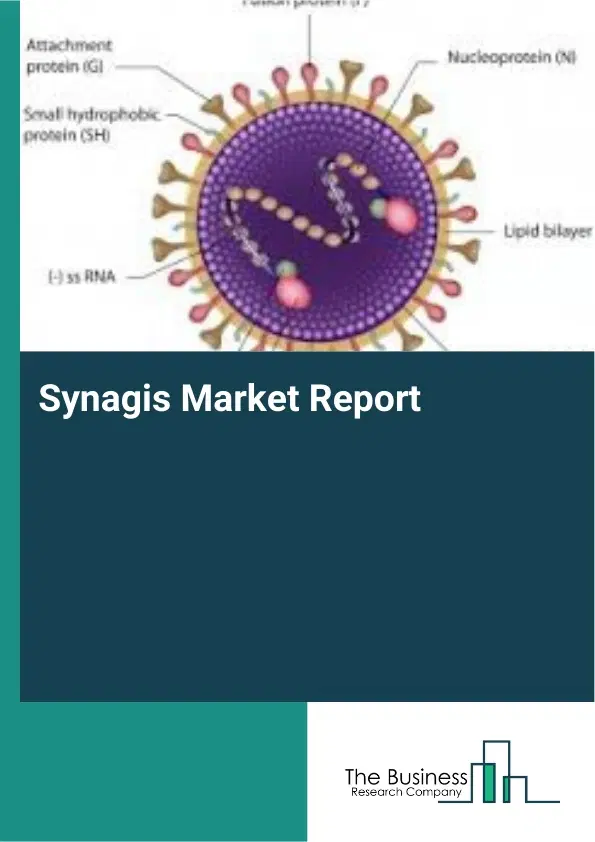 Synagis Market Report 2026 Synagis Market Report 2026