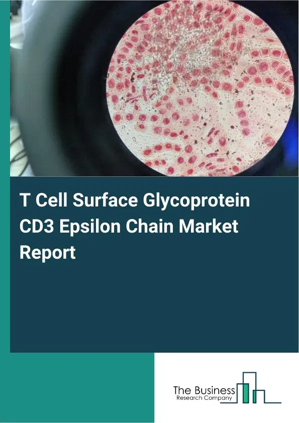T Cell Surface Glycoprotein CD3 Epsilon Chain Market Report 2026 T Cell Surface Glycoprotein CD3 Epsilon Chain Market Report 2026