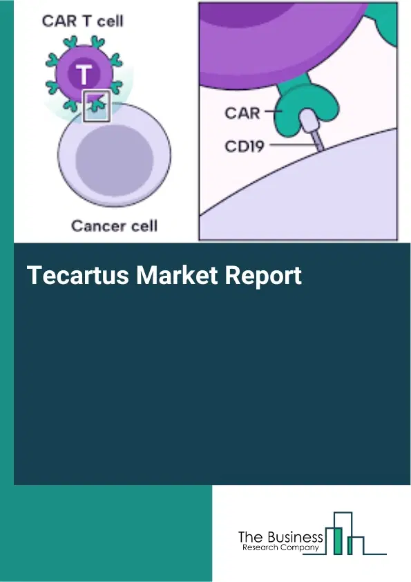 Tecartus Market Report 2026 Tecartus Market Report 2026