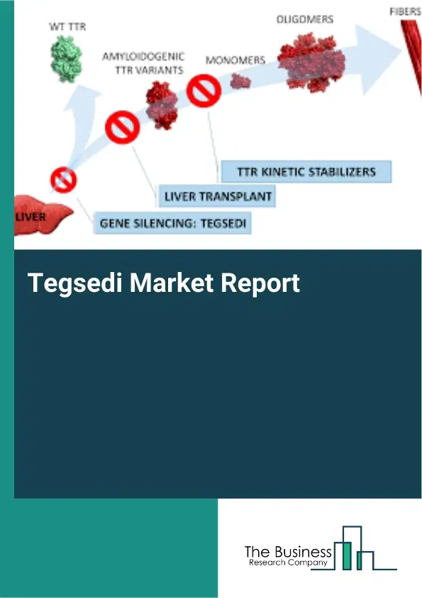 Tegsedi Market Report 2026 Tegsedi Market Report 2026