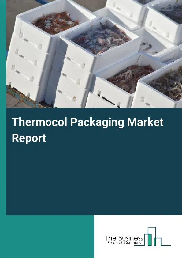 Thermocol Packaging Market Report 2026 Thermocol Packaging Market Report 2026
