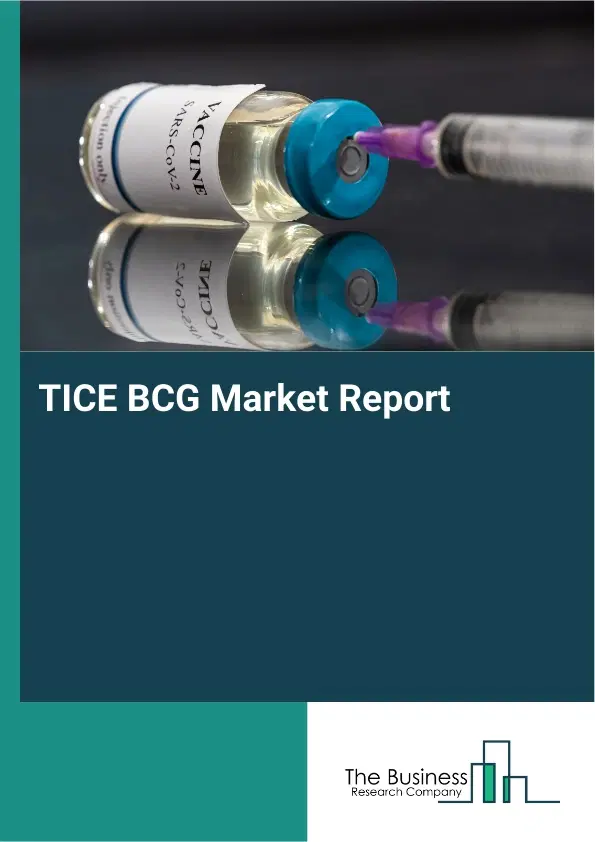TICE BCG Market Report 2026 TICE BCG Market Report 2026