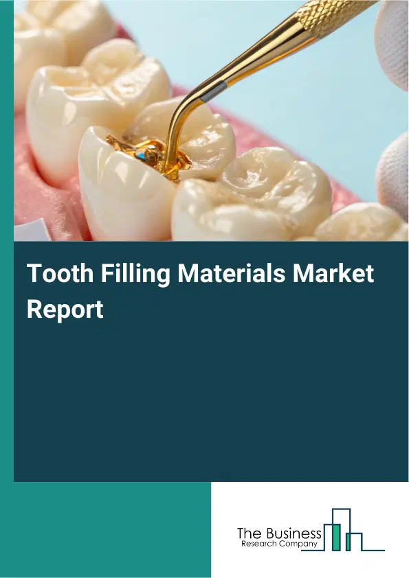Tooth Filling Materials Market Report 2026 Tooth Filling Materials Market Report 2026