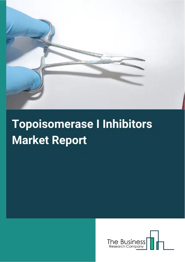 Topoisomerase I Inhibitors Market Report 2026 Topoisomerase I Inhibitors Market Report 2026