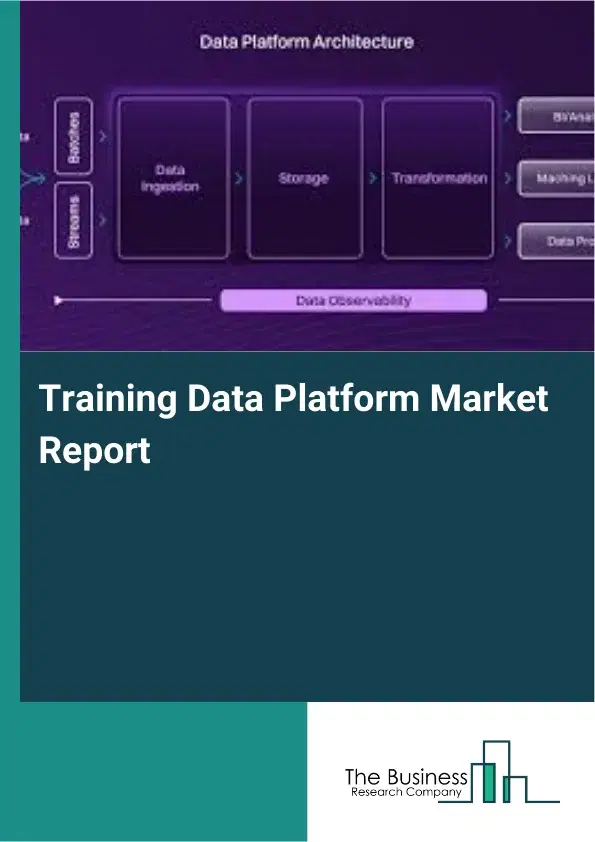Training Data Platform Market Report 2026 Training Data Platform Market Report 2026