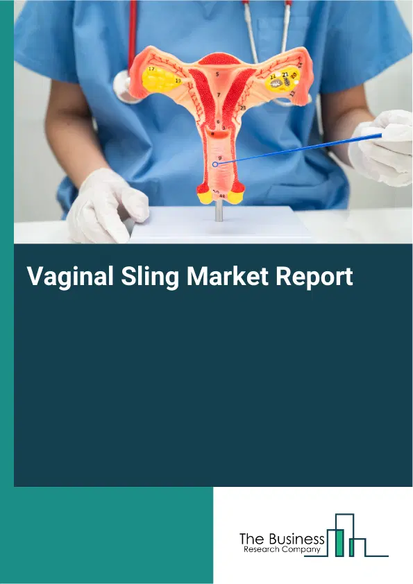 Global Vaginal Sling Market Report 2026 Global Vaginal Sling Market Report 2026