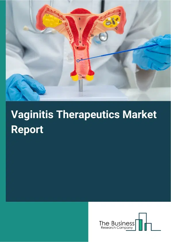 Global Vaginitis Therapeutics Market Report 2026 Global Vaginitis Therapeutics Market Report 2026