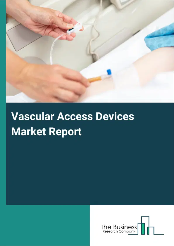 Vascular Access Devices Market Report 2026 Vascular Access Devices Market Report 2026