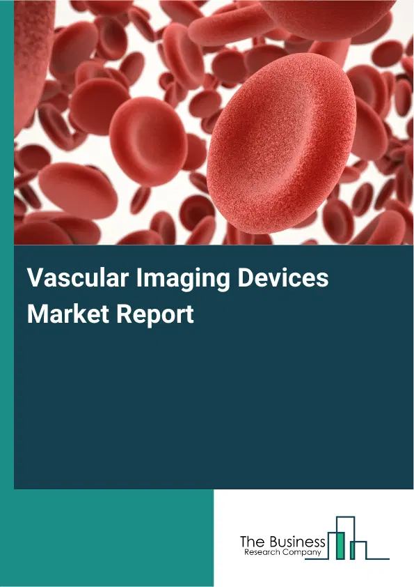 Vascular Imaging Devices Market Report 2026 Vascular Imaging Devices Market Report 2026