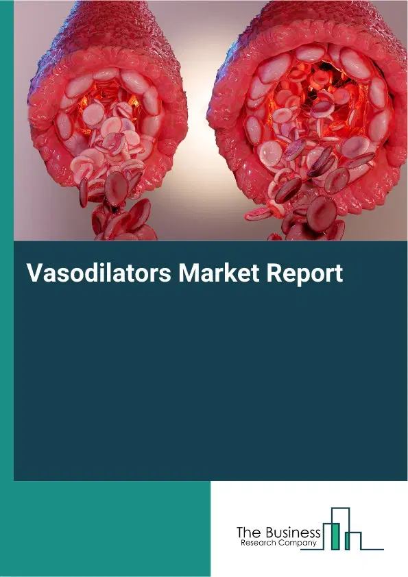 Vasodilators Market Report 2026 Vasodilators Market Report 2026