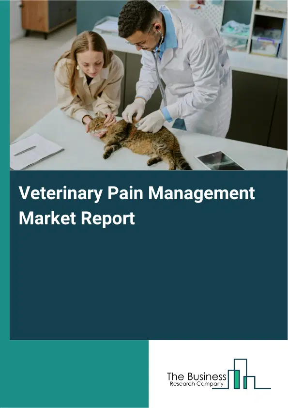 Global Veterinary Pain Management Market Report 2026 Global Veterinary Pain Management Market Report 2026