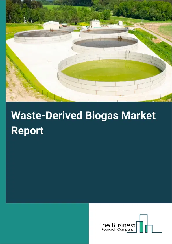 Waste-Derived Biogas Market Report 2026 Waste-Derived Biogas Market Report 2026