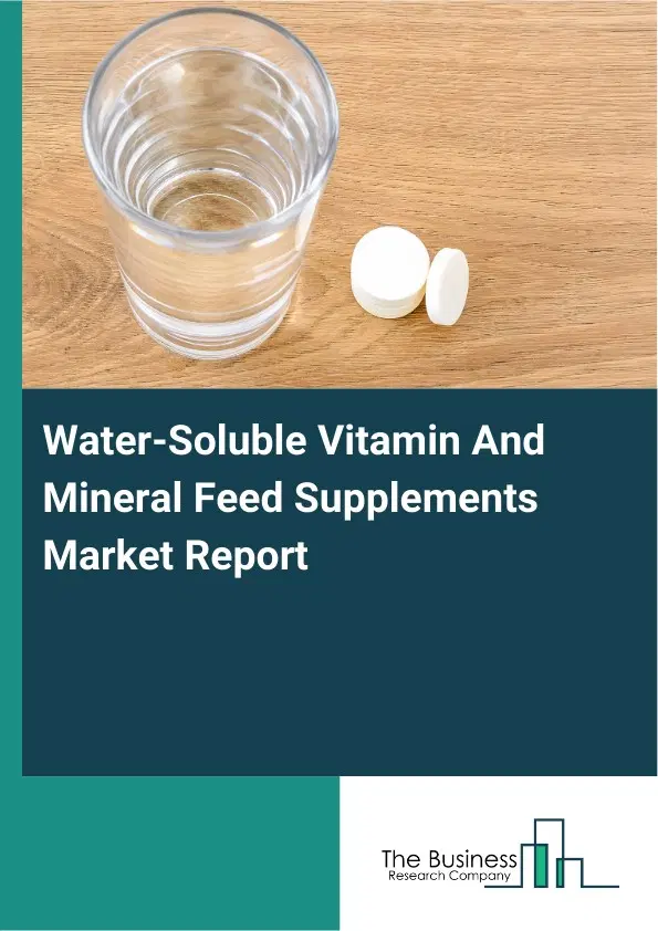 Water-Soluble Vitamin And Mineral Feed Supplements Market Report 2026 Water-Soluble Vitamin And Mineral Feed Supplements Market Report 2026