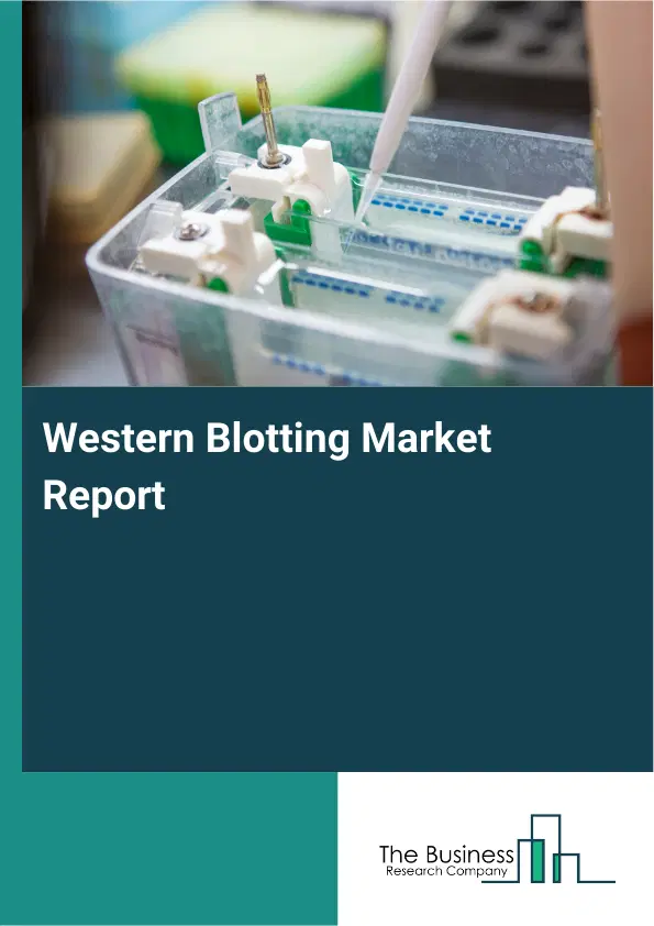 Western Blotting Market Report 2026 Western Blotting Market Report 2026