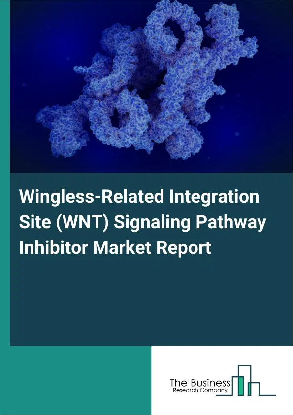 Wingless-Related Integration Site (WNT) Signaling Pathway Inhibitor Market Report 2026 Wingless-Related Integration Site (WNT) Signaling Pathway Inhibitor Market Report 2026