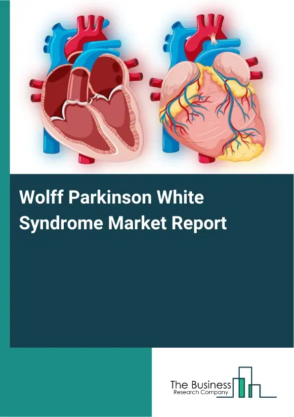 Global Wolff Parkinson White Syndrome Market Report 2026 Global Wolff Parkinson White Syndrome Market Report 2026