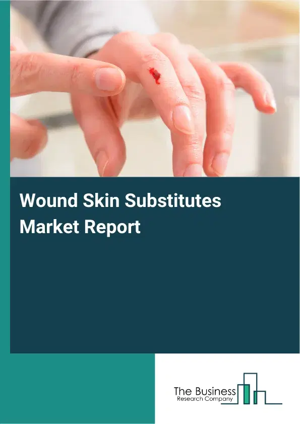 Wound Skin Substitutes Market Report 2026 Wound Skin Substitutes Market Report 2026