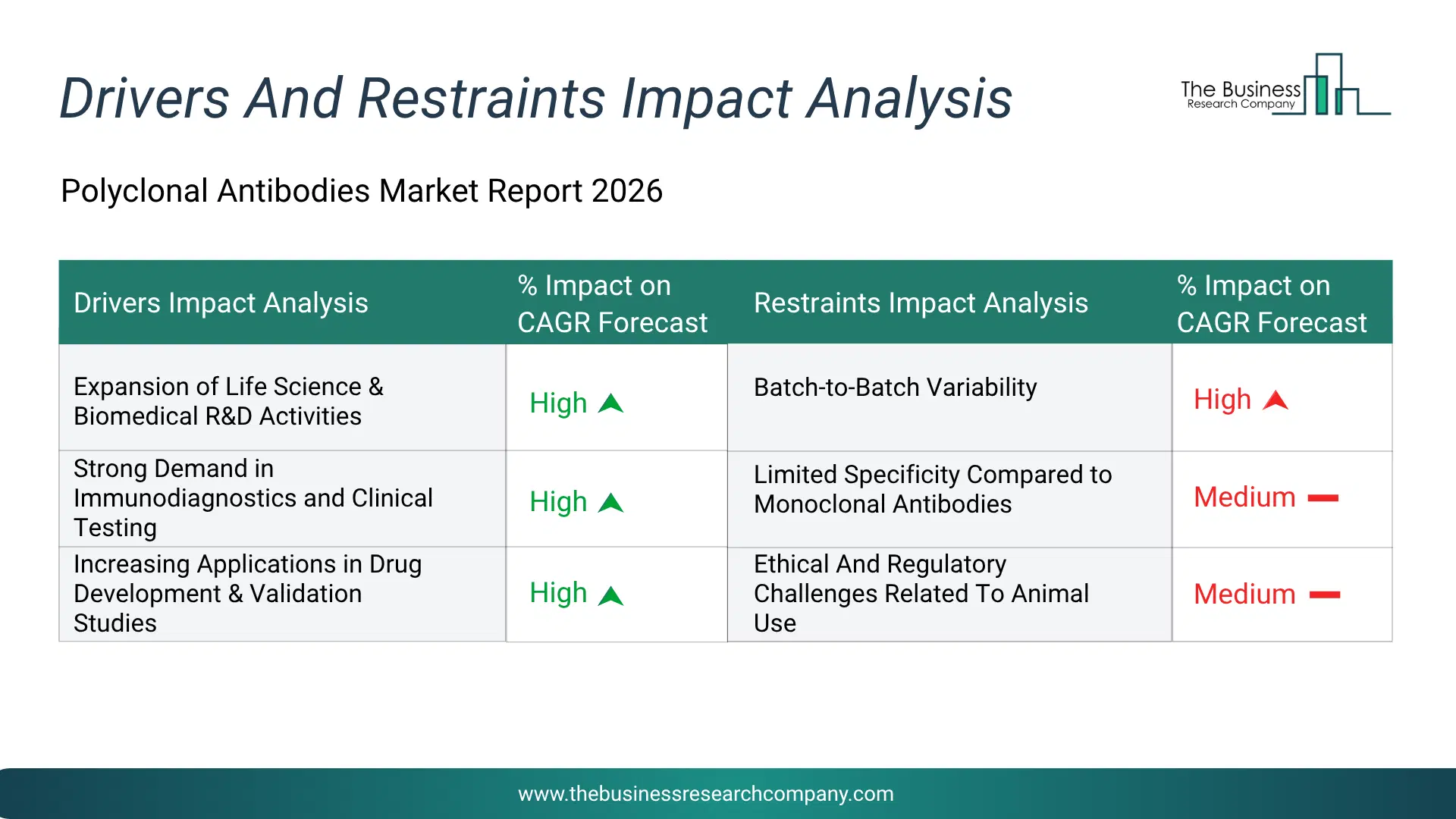 Polyclonal Antibodies Key Drivers & Restraints Analysis 2026 Infographic Chart Showing Key Market Drivers Analysis And Restraints For Polyclonal Antibodies Market