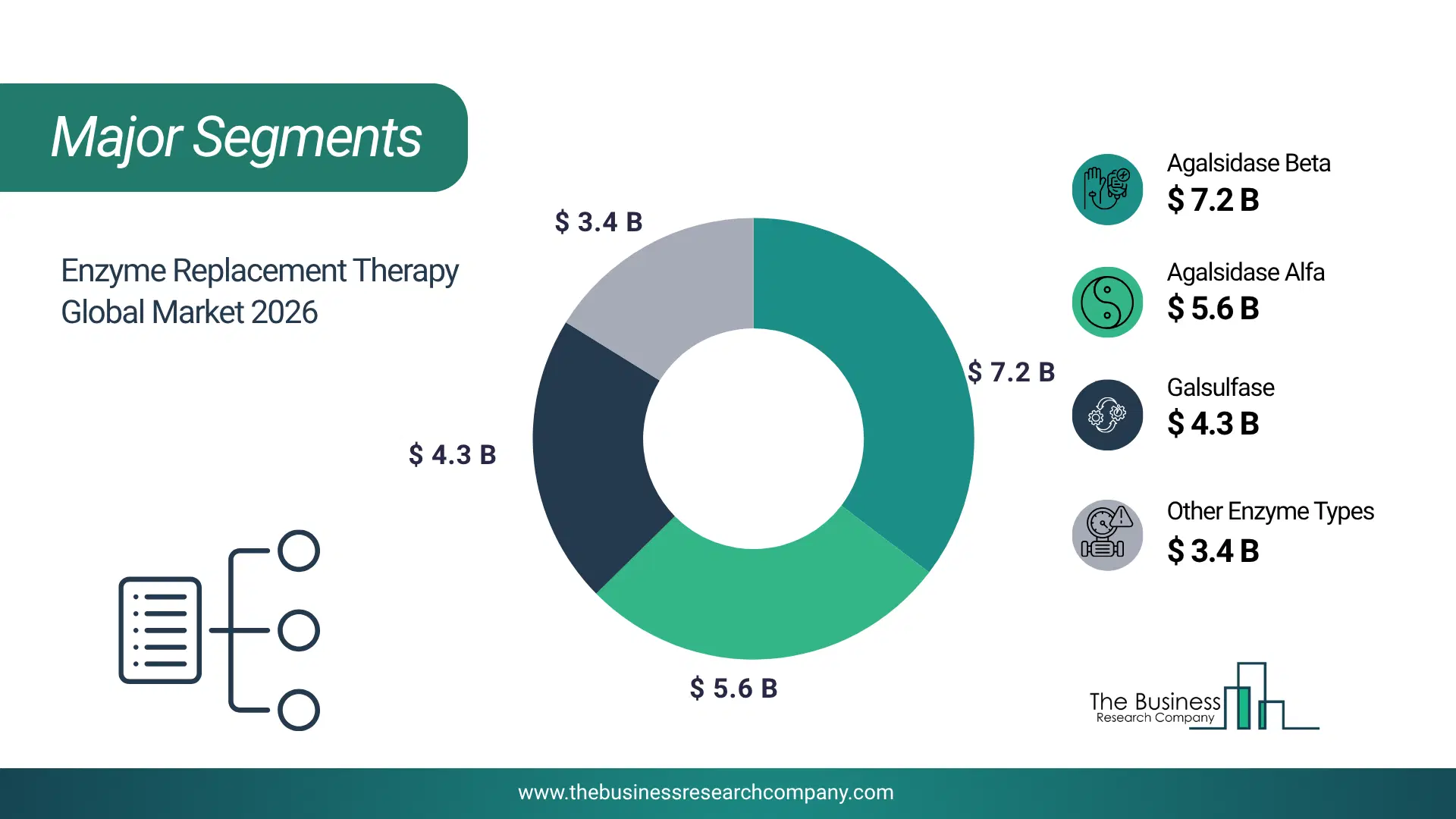Enzyme Replacement Therapy Market Major Segmentation Breakdown2026 Major Segmentation Breakdown Chart Of The Enzyme Replacement Therapy Market.