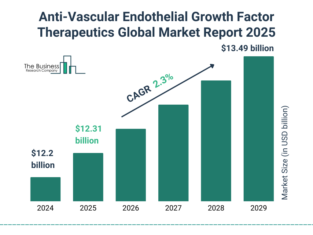 Anti-Vascular Endothelial Growth Factor Therapeutics Market Size and growth rate 2025 to 2029: Graph