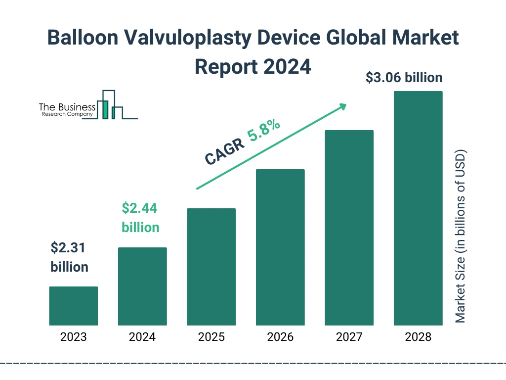 Global Balloon Valvuloplasty Device Market Size 2023 to 2028: Graph