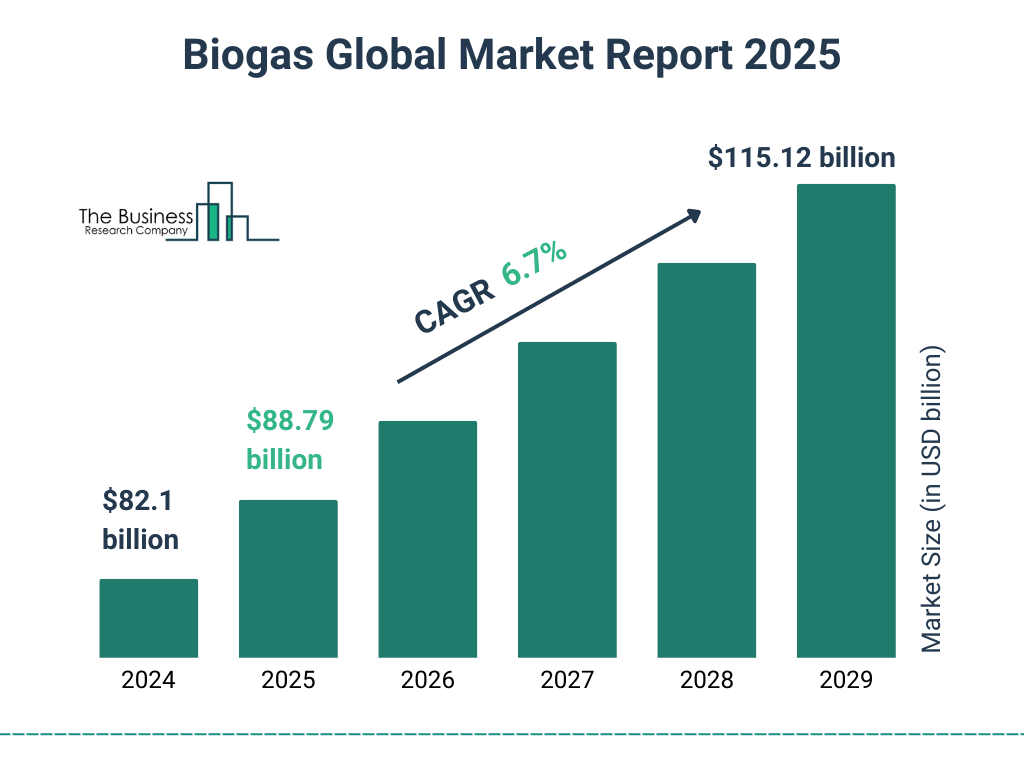 Biogas Market Size and growth rate 2025 to 2029: Graph