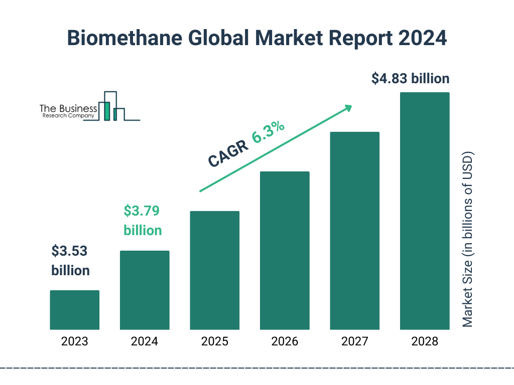 Global Biomethane Market Size 2023 to 2028: Graph