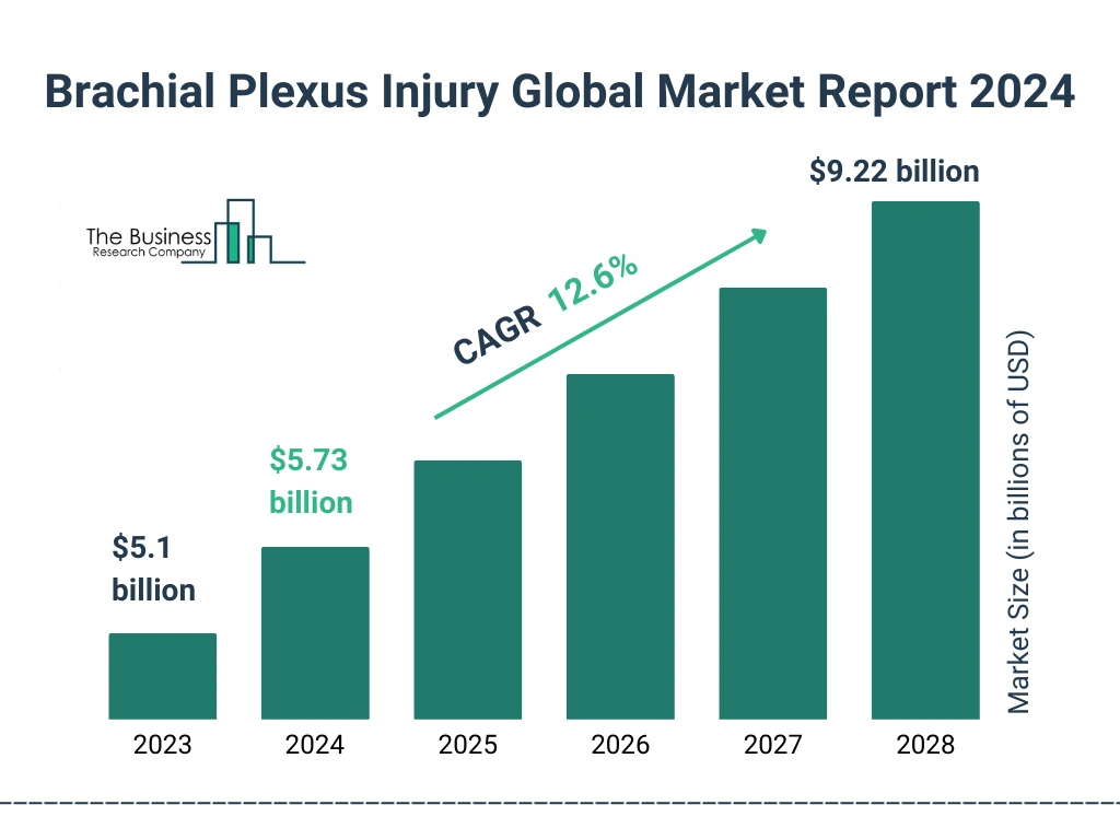 Global Brachial Plexus Injury Market Size 2023 to 2028: Graph