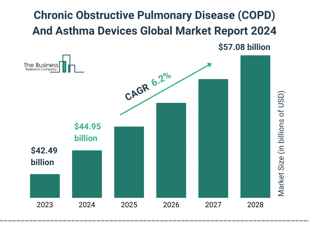 Global Chronic Obstructive Pulmonary Disease (COPD) And Asthma Devices Market Size 2023 to 2028: Graph