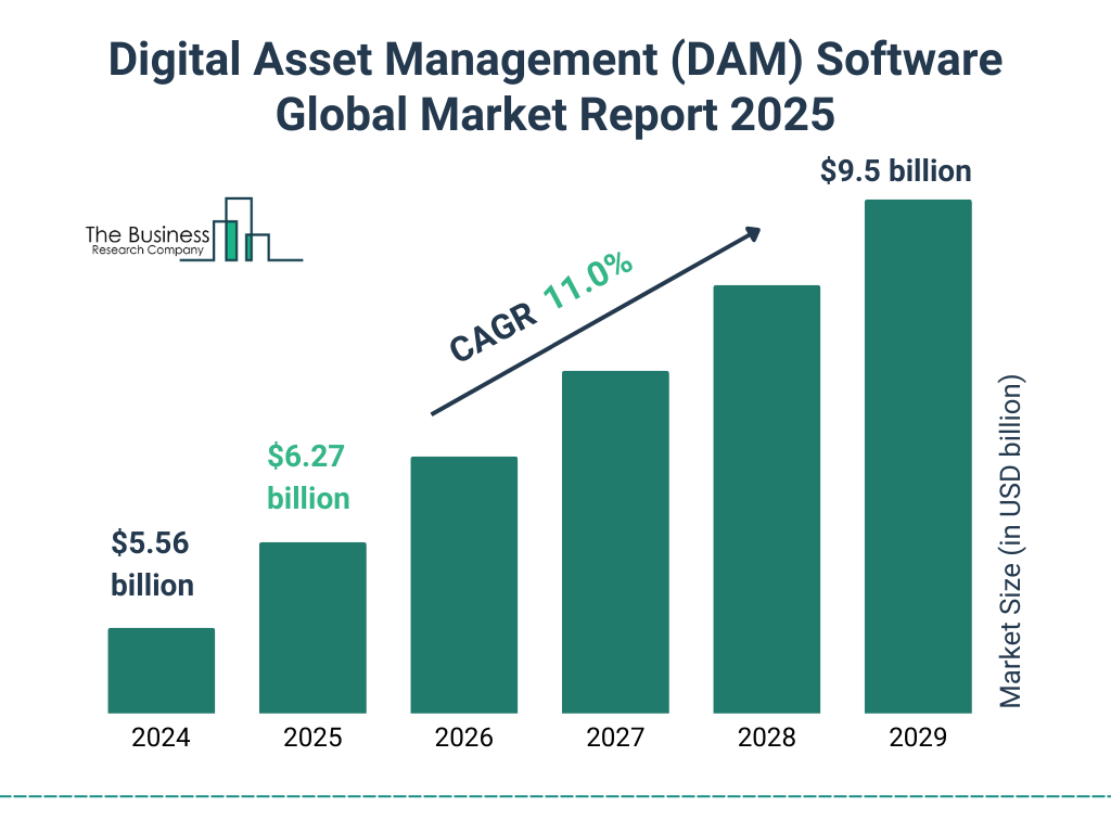 Digital Asset Management (DAM) Software Market Size and growth rate 2025 to 2029: Graph