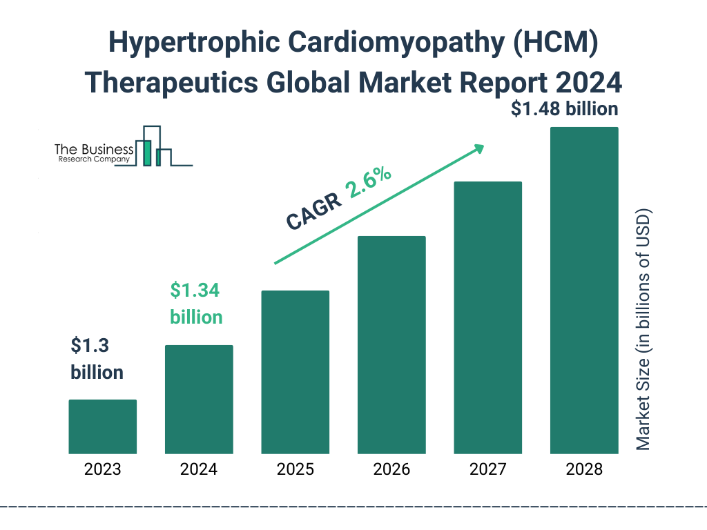 Global Hypertrophic Cardiomyopathy (HCM) Therapeutics Market Size 2023 to 2028: Graph