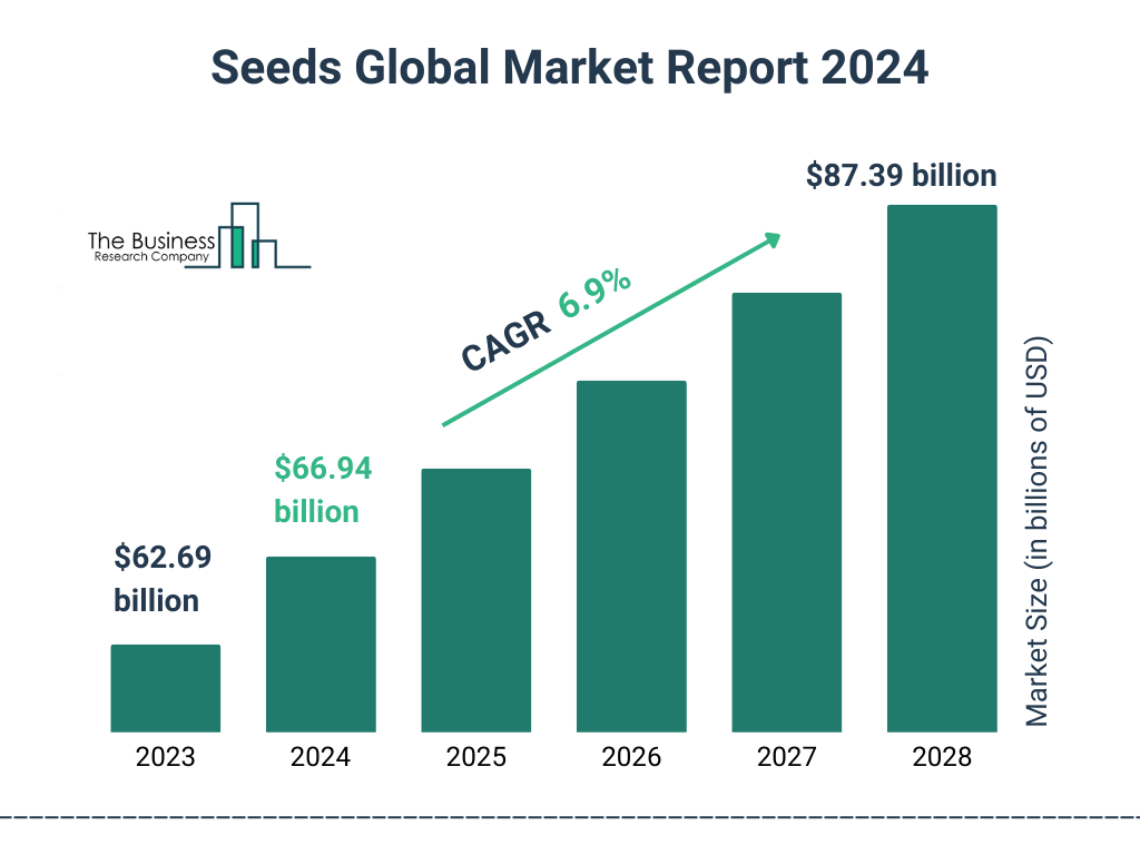 Global Seeds Market Size 2023 to 2028: Graph