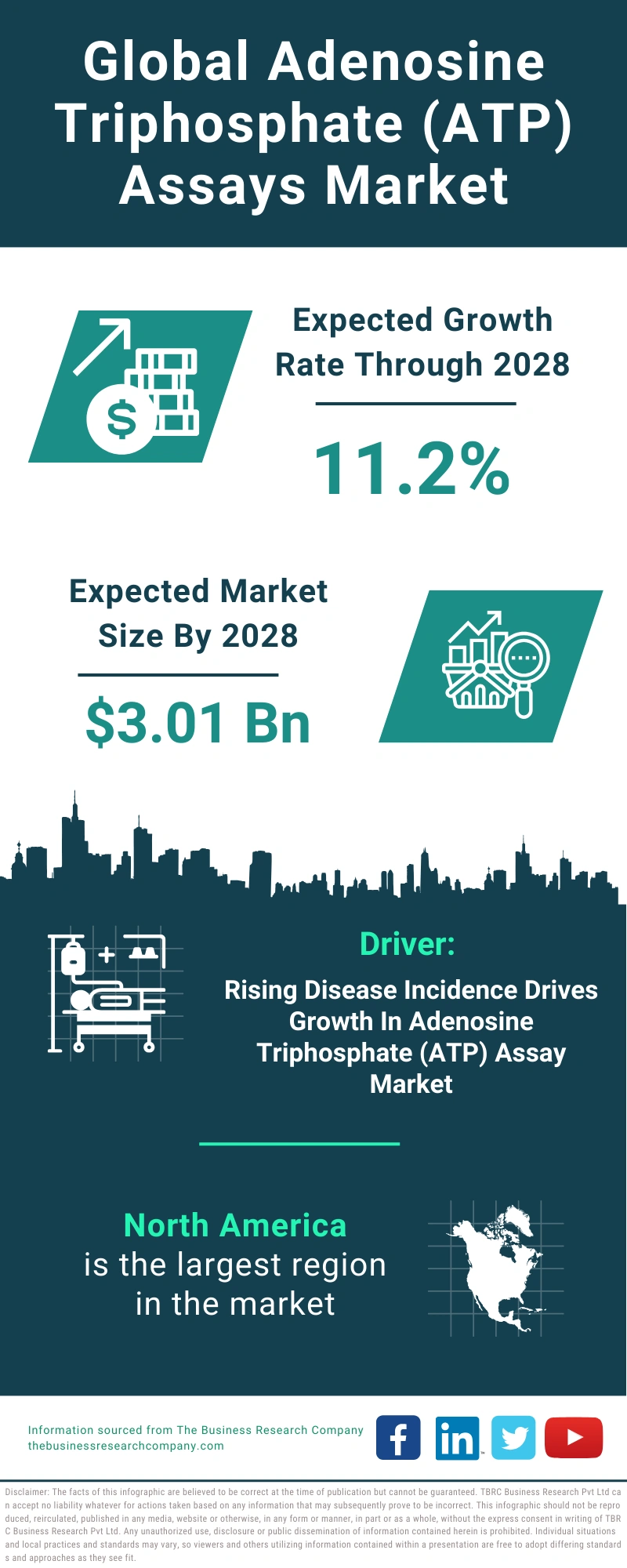 Adenosine Triphosphate (ATP) Assays Global Market Report 2024