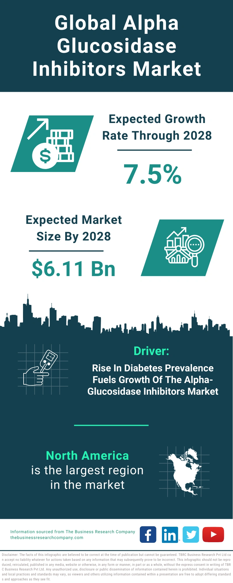 Alpha Glucosidase Inhibitors Global Market Report 2024