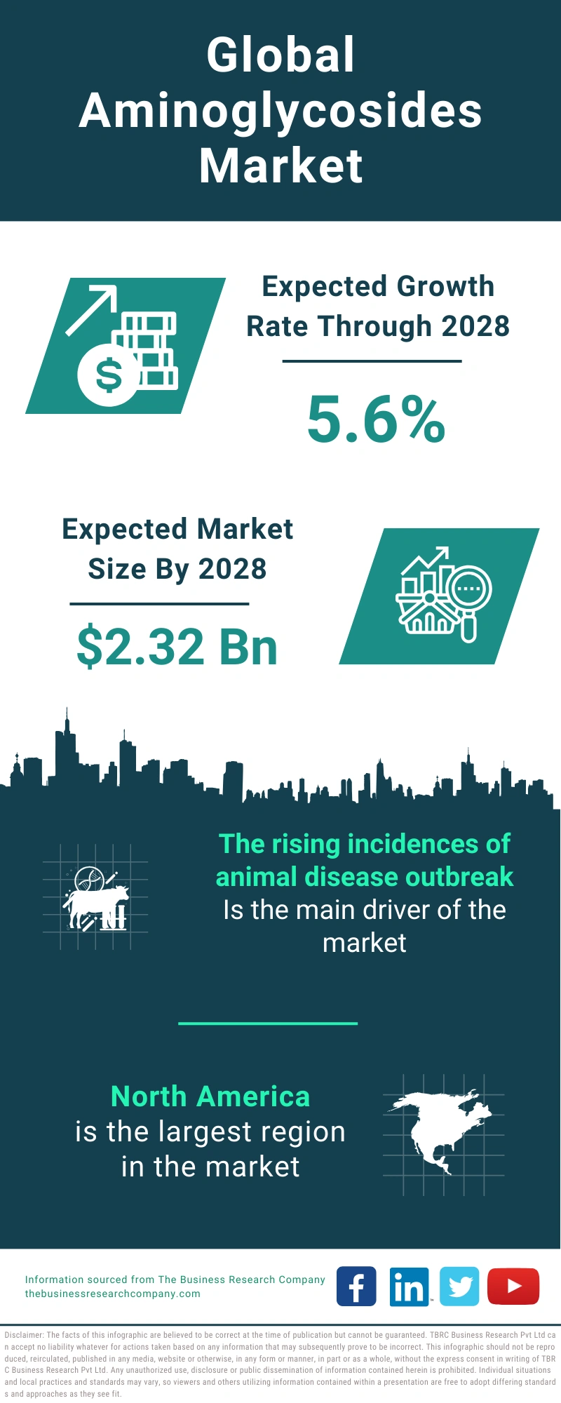 Global Aminoglycosides Market Infographic