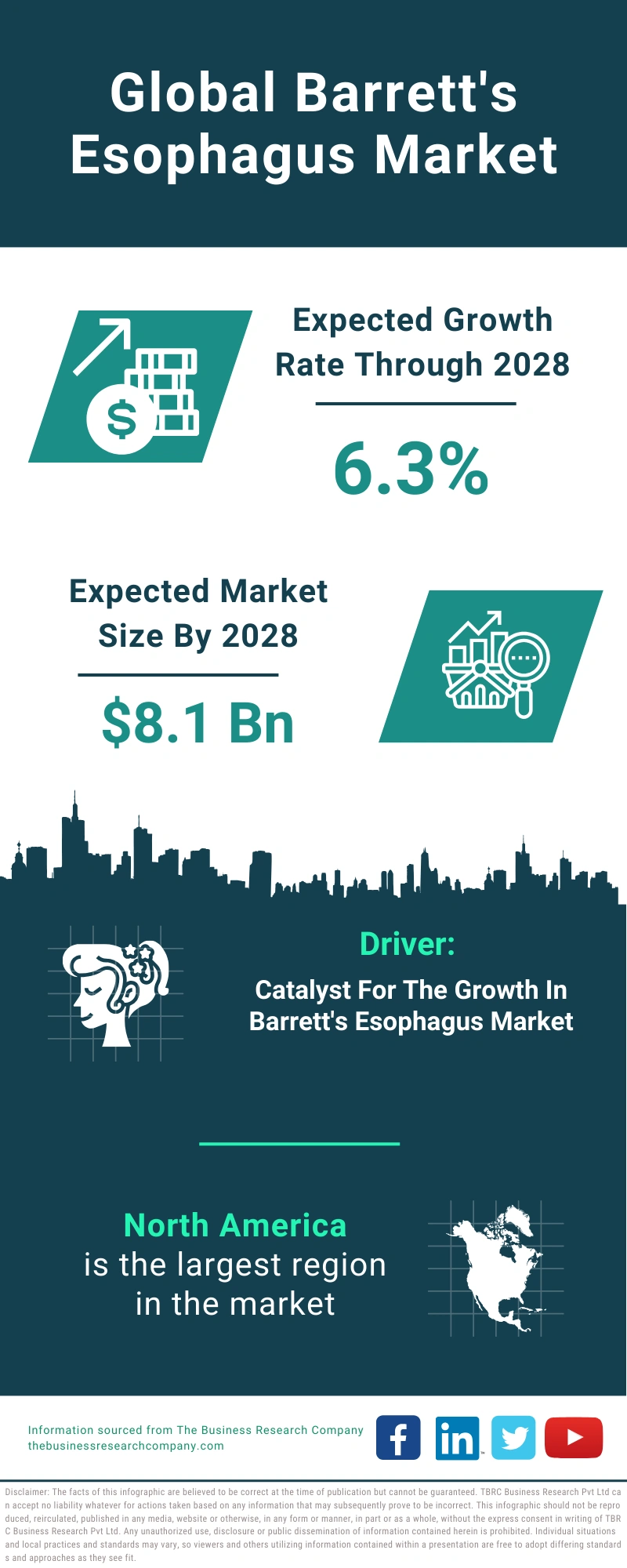 Barrett's Esophagus Global Market Report 2024