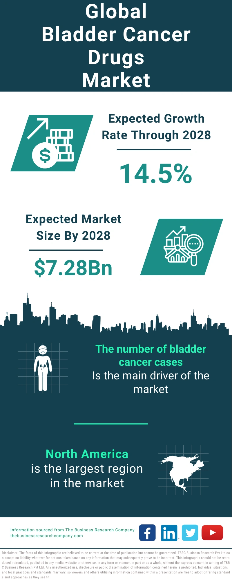Bladder Cancer Drugs Global Market Report 2024
