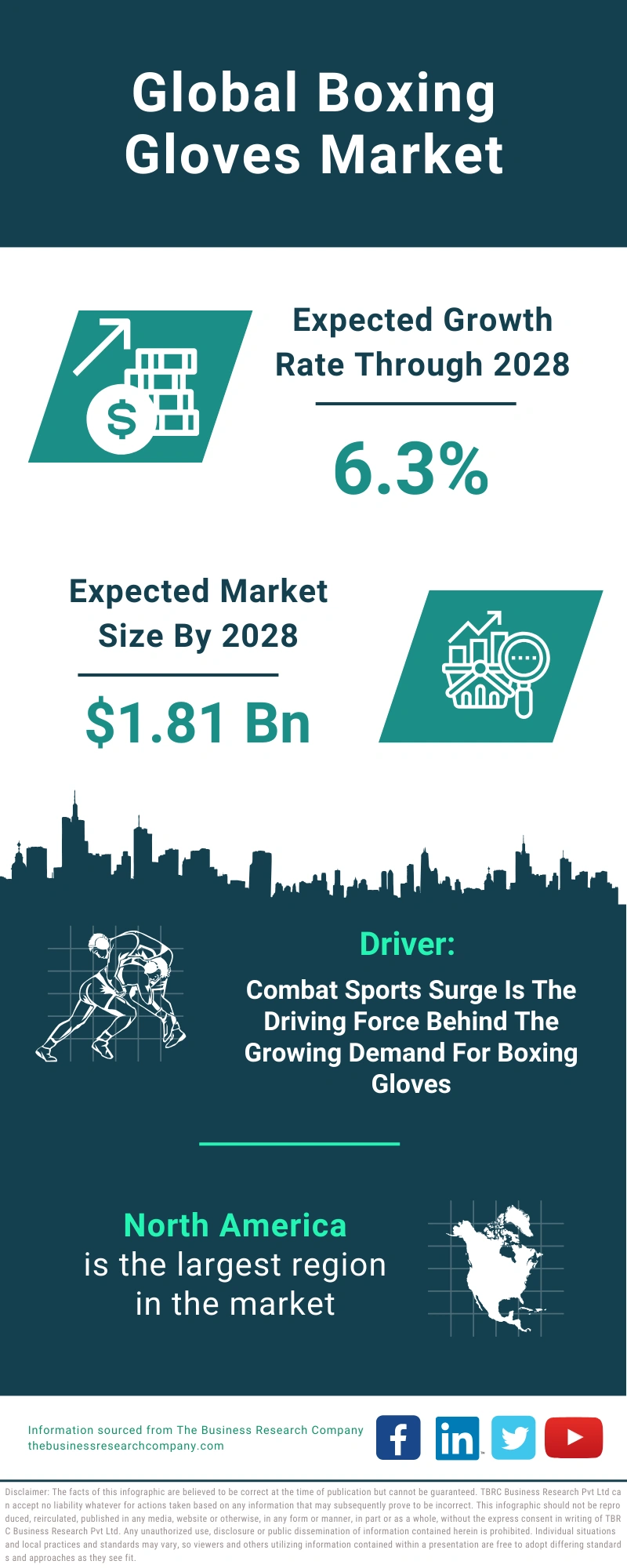 Boxing Gloves Global Market Report 2024