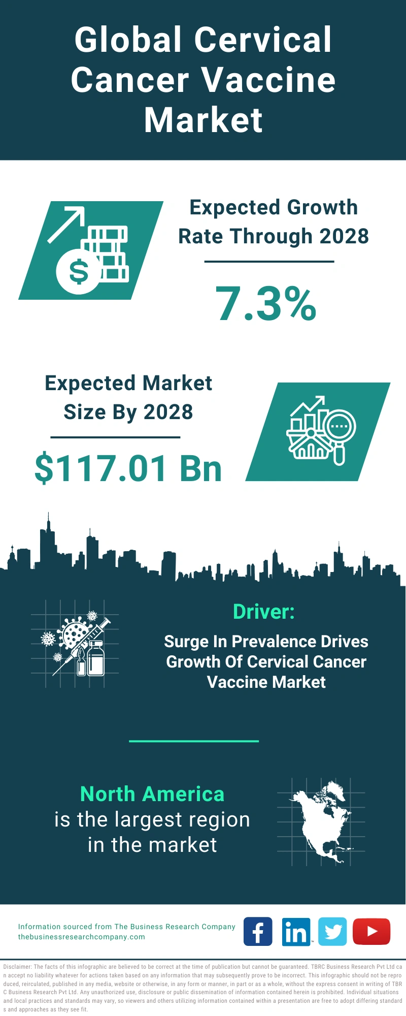 Cervical Cancer Vaccine Global Market Report 2024