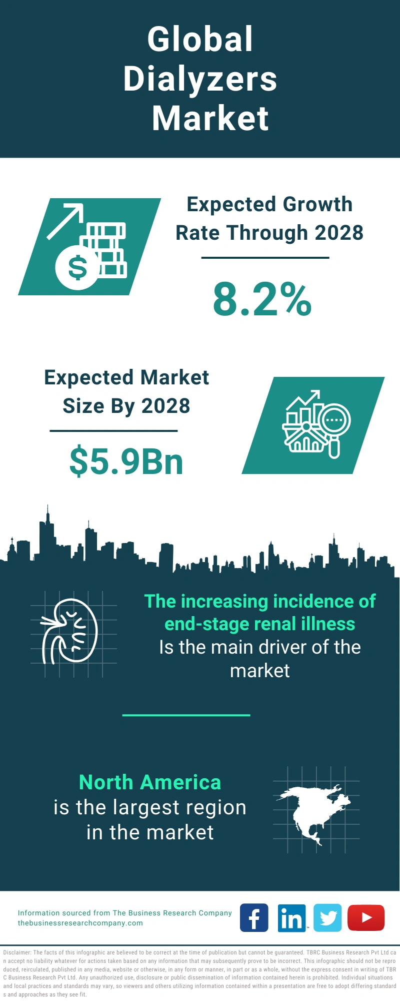 Dialyzers Global Market Report 2024